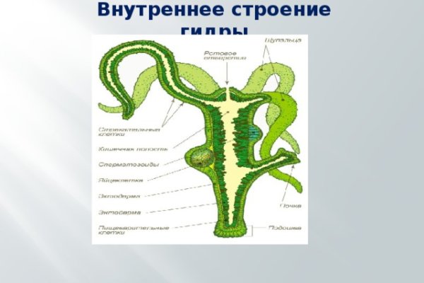 Омг телеграмм